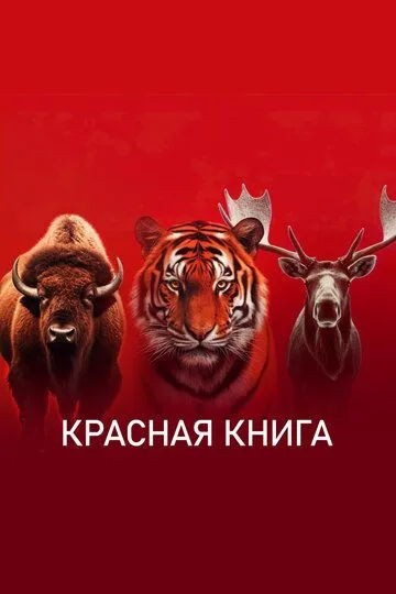 Смотреть сериал Красная книга 1 сезон онлайн